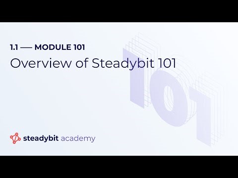 101 Overview | The Steadybit Academy
