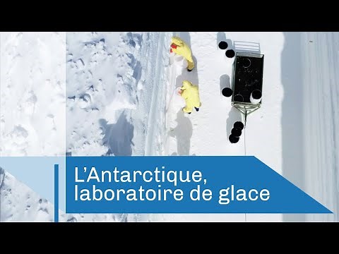 L'Antarctique, laboratoire de glace | Reportage CNRS