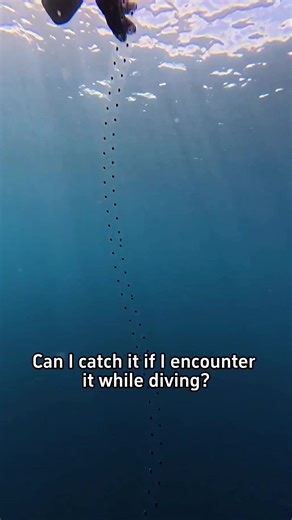 Unusual Encounters on the Road While Driving