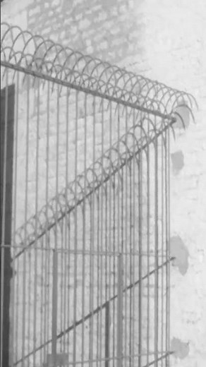 The Last Guillotine Execution in 1977… OR NOT? #history #crime #execution #shorts