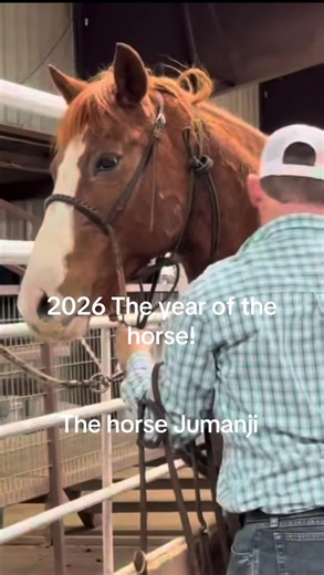 2026: Embrace the Year of the Horse
