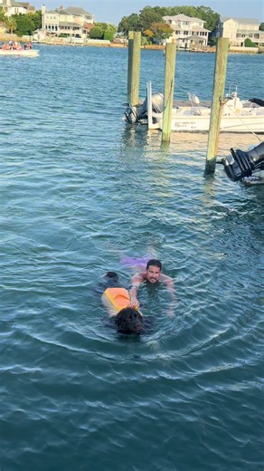 Newfoundland Dog Saves Dad: Dramatic Water Rescue Caught on Video
