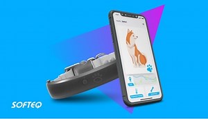 Pet Tech Solutions | Softeq