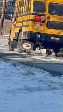 Bus 87, Bus 103, and Bus 132