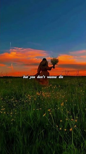 Numb Little Bug – Em Beihold | Lyrics 🌿 | Calm Vibes | #shorts
