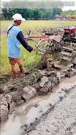 Paddy Power: How Modern Tech Feeds Millions