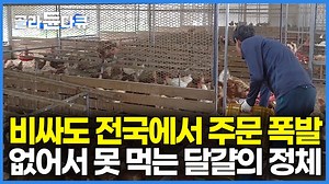 어쩐지 바씨다 했더니.. 비싸도 전국에서 줄서서 먹는 이상한 달걀의 정체?｜주문 폭발! 대기만 700명? 100% 회원제 양계장｜진짜 동물복지 달걀을 찾아서｜극한직업｜#골라듄다큐