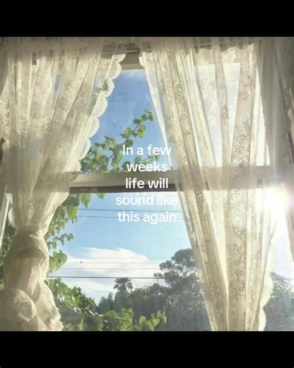 Embracing the Beauty of Spring