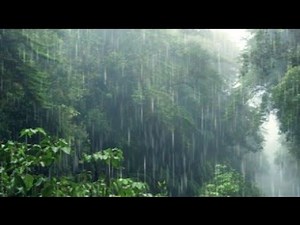 11 Hours Relaxing Rain Sounds for Deep Sleep & Focus | Continuous Rain Noise