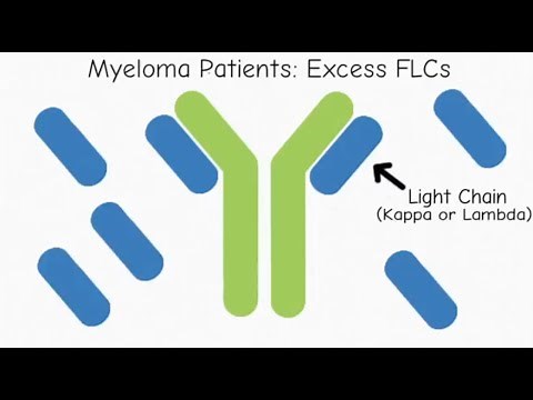 Let's Talk About Free Light Chains