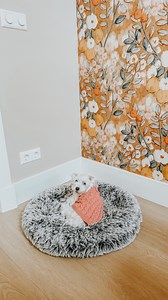 26K views · 48 reactions | Transforming my little Dutch office space...