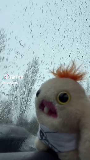 Exploring Baby Fuggler Names: A Cute Curiosity