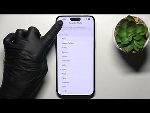 How to Change Reminder Alert on iPhone 14 Pro Max