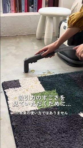 家中の布製品をキレイに レイコップ カーペットクリーナー TURBO(ターボ)