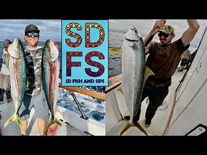 Full Day Fishing Coronado Islands Yellowtail | Mission Belle Point Loma Sportfishing San Diego