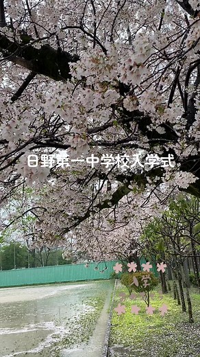 日野第一中学校の入学式🌸 ご入学おめでとうございます㊗️ #日野第一中学校 #日野一中 #入学式 #ご入学おめでとうございます #日野市 #日野