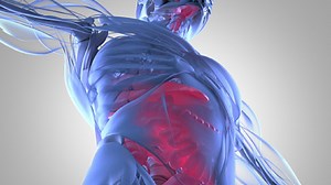 What is gastroparesis? | St. Francis offering digestive health procedure