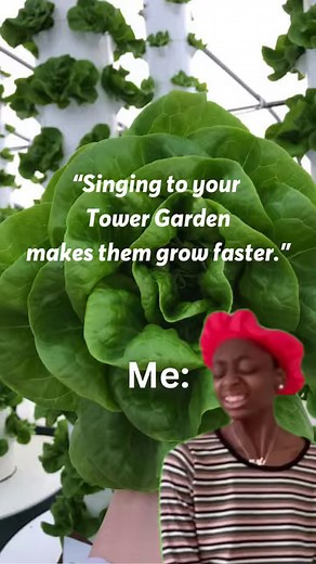 7.4K views · 46 reactions | Plants on a #TowerGarden grows 3x faster than other gardening methods with 30% more yield! (you can decide if that is from the singing or because of the Tower Garden technology ) #towergardenofficial #verticalgardening #aeroponicgardening #healthy #salad #produce #herbs #aeroponicgarden #aeroponictower | Tower Garden | Facebook