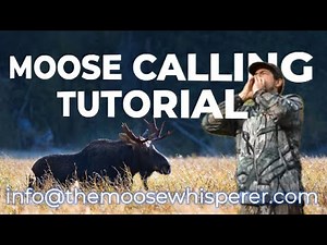 HOW TO CALL A MOOSE : Mastering Moose Calls: A Comprehensive Tutorial #moosehunting #moosecraft
