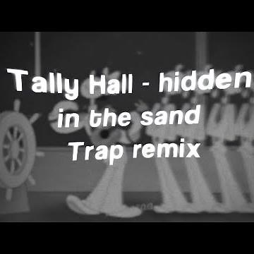 Tally Hall - Hidden in the sand Trap remix by Makaraa (We were playing in the sand)