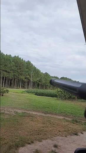 Gamo Swarm Maxim 60 yards