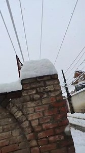 20K views · 177 reactions | Urgent Share | Mobile bazaar Srinagar | Facebook