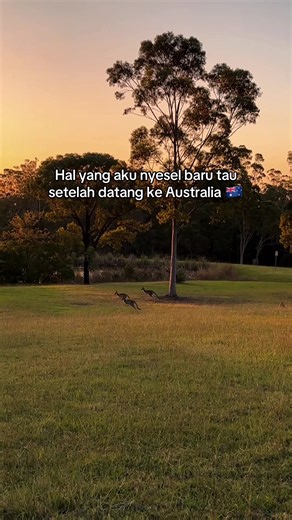 1. Kerja di Australia dibayar dengan hitungan per jam💰🕣, dan akan di transfer perMinggu. iyaa, perminggu!! jadi gaada drama2an tentang perkara ‘akhir bulan’ lagi 😮‍💨💸🚨 2. Alam 🌅 🍁disini bagus bangettt, masyaallahhh, hidup disini berasa jadi tokoh figuran yg nyasar di film2 barat 🫵🏻🥹🌸 3. Orang2nya ramah powll! 🤝🧚‍♀️ walau first time jumpa, mereka ga akan segan2 nanya “how r u??”, awal2 pas ditanya gitu rasanya mau jawab yg sebenernya, kayak “ugh im not feeling okay today blablabla” 