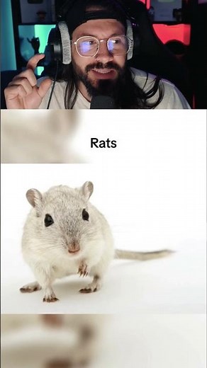 🤨Comment les animaux voient le monde?