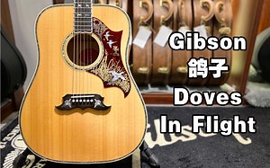 Gibson 鸽子 Doves In flight