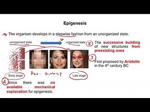 Preformation and epigenesis section 3