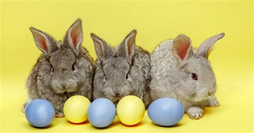 Por que não pode comer carne na Sexta-Feira Santa?