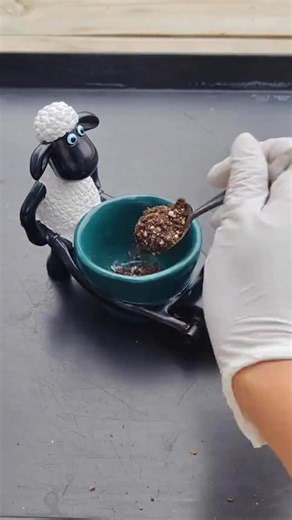 57K views · 69 reactions | Beautiful ideas for cactus 華 #cactus #cacti | Cactus Garden | Facebook