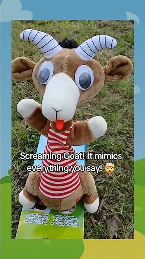 Screaming goat 🐐🎶 it mimics everything you say & more -Satisfied customer 🙏😄 #bestgift #dancingtoy