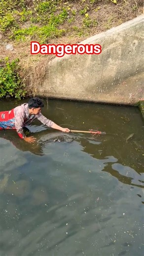 big fish catching video Discovery channel #viral #fishing #carpfishing