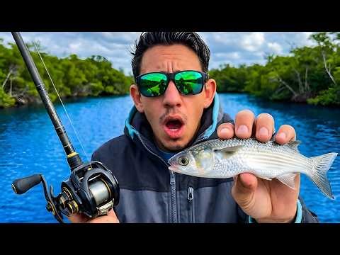 48 Hrs Fishing Seawalls With Live Mullet & NLBN's