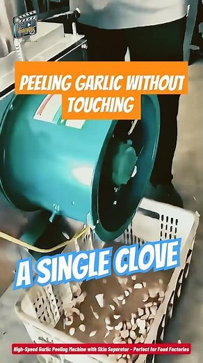 High-Speed Garlic Peeling Machine with Skin Separator – Perfect for Food Factories