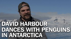 242K views · 1.5K reactions | Go behind the scenes with David Harbour...