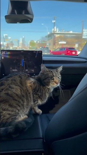 More Tesla FSD Unsupervised footage from Austin, Texas