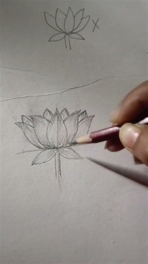 🌸 Easy Lotus Drawing Tutorial | Step-by-Step Flower Drawing for Beginners #Shorts