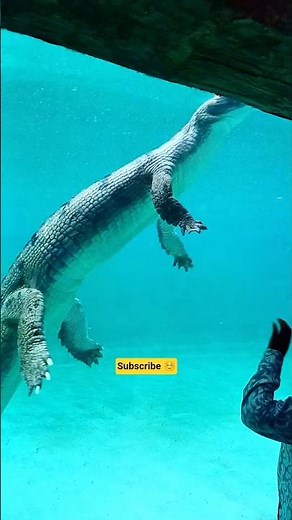 Magarmach in zoo 🙄🤩 #foryou #love #miladunnabi #bayan #shortvideo #tiktok #deen