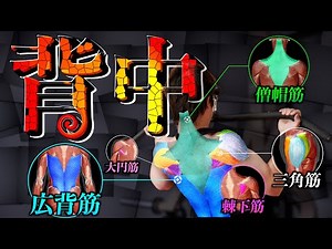 【筋トレ】10分後にあなたの背中タイプは判別され、最強の3種目が届けられています。