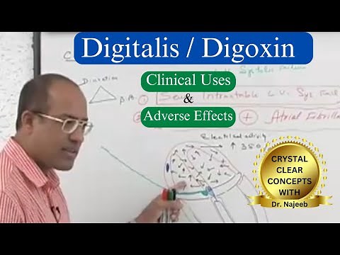 Digitalis | Digoxin Clinical Uses and Adverse Effects