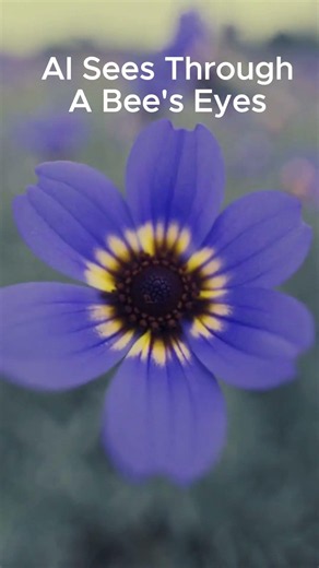 What Does a Bee Really See? | A Science-Based AI Reconstruction of Bee Vision