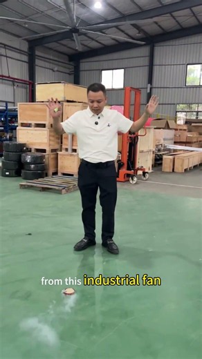 Industrial Large Fan