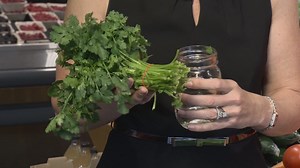 Nutrition: Storing fresh herbs
