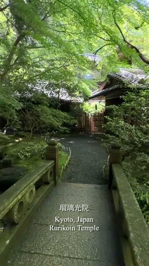 京都 瑠璃光院の青紅葉に息をのんだ