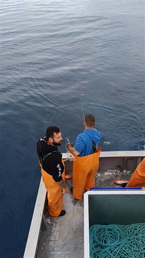 Azorean professional fishing | Sousa Jose