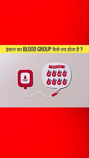 How Is Blood Group Determined? A, B, AB, O & Positive Negative Explained