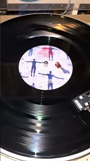 Muse Absolution Vinyl