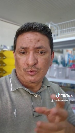 O Mabeco: Cão-Selvagem-Africano em Perigo